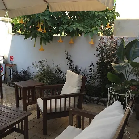酒店 丽莎酒店 2*