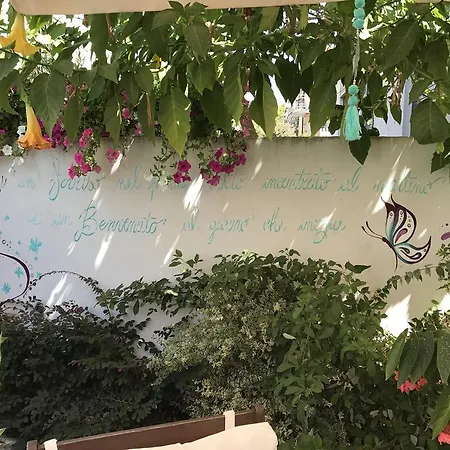 酒店 丽莎酒店