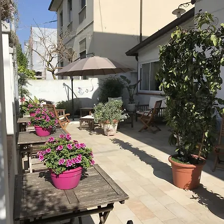 酒店 丽莎酒店 维亚雷焦
